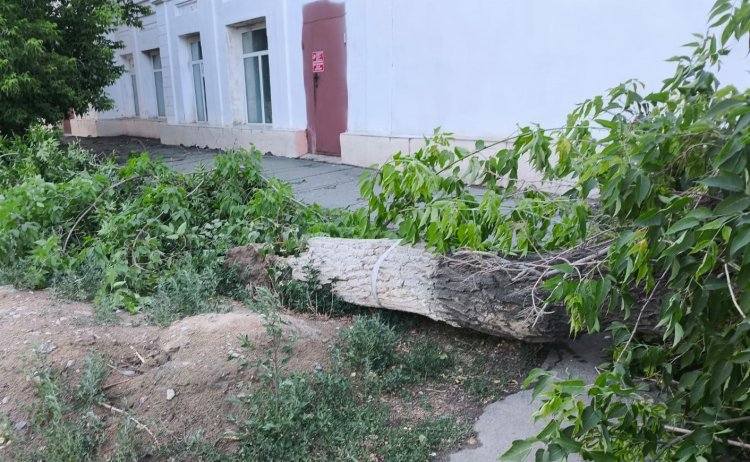 Жительница Экибастуза получила перелом бедра во время урагана