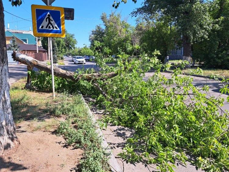 Как Экибастуз и Аксу восстановят после урагана