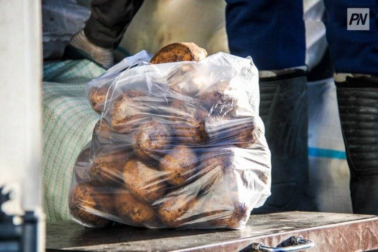 В картофеле и абрикосах на рынках Павлодара нашли нитраты