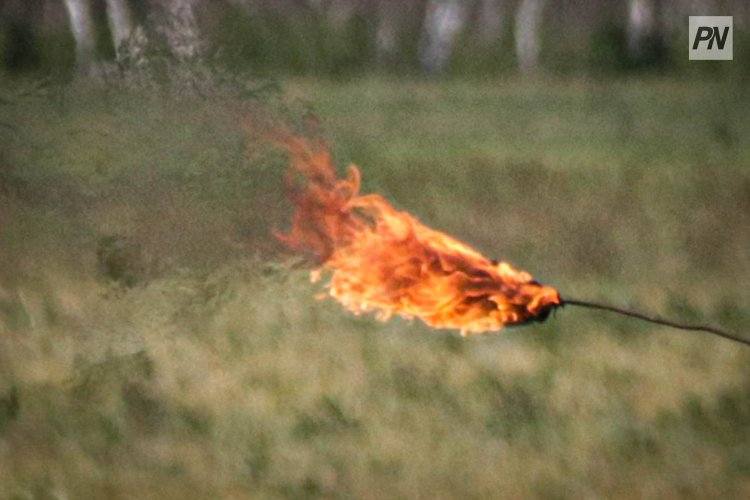 Павлодарские пожарные помешали огню охватить гектары леса