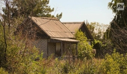 В Павлодаре ограбили дачу