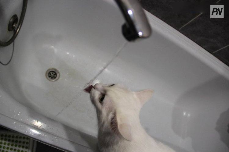 Когда в квартирах экибастузцев появится горячая вода