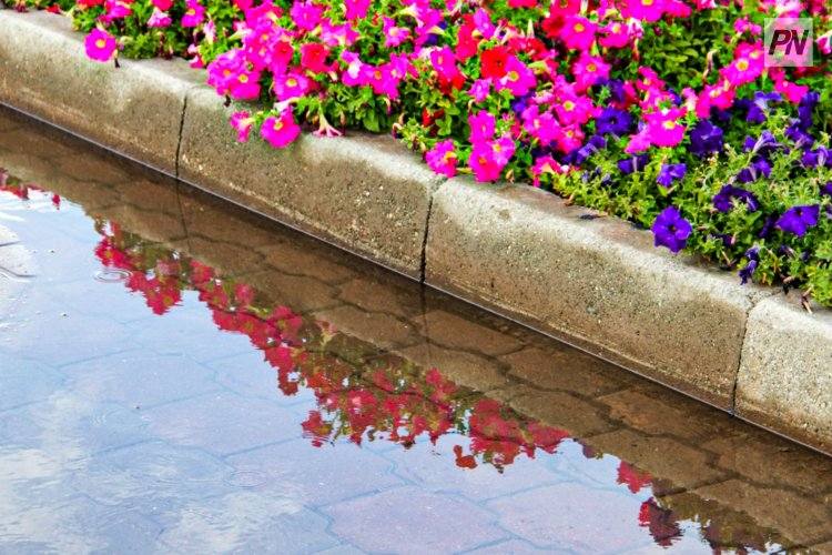 Непогода накроет Павлодарскую область на неделю