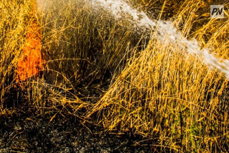 Как обеспечить пожарную безопасность на полях, рассказали павлодарские огнеборцы