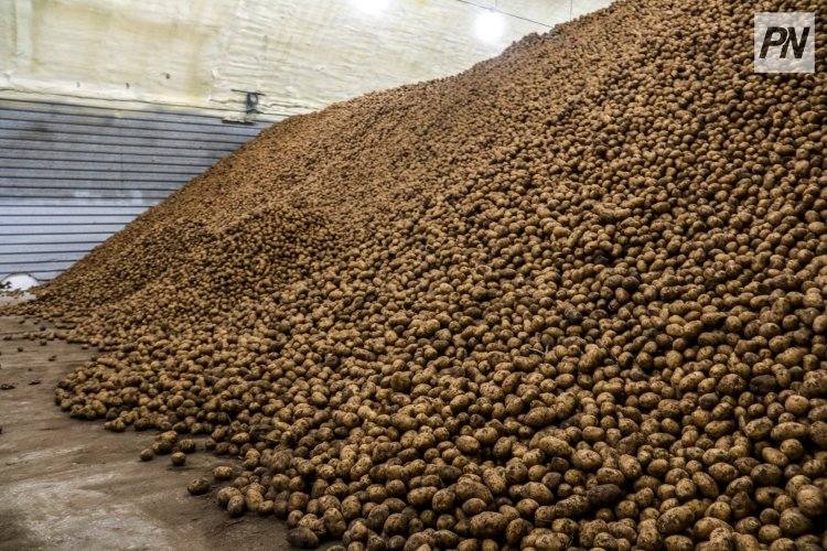 В Павлодарской области организовали сельхозперепись в оффлайн-формате