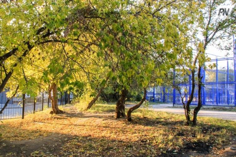24 сентября в Павлодарской области будет тепло