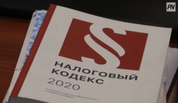 Павлодарских нарушителей налогового законодательства найдет «Беркут»