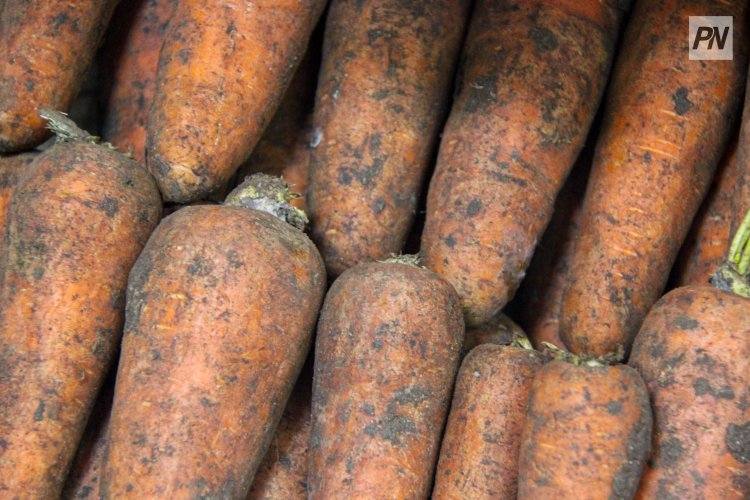 Павлодарские овощеводы обязались не завышать цены на картофель и морковь