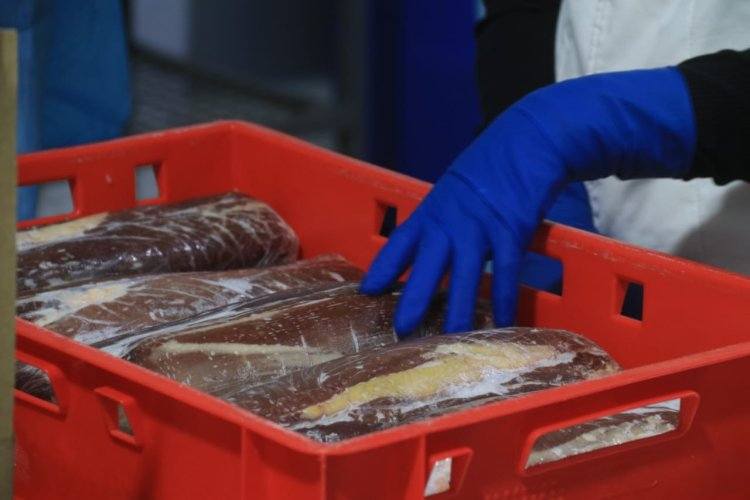 В Павлодарской области планируют наладить производство мясных консервов