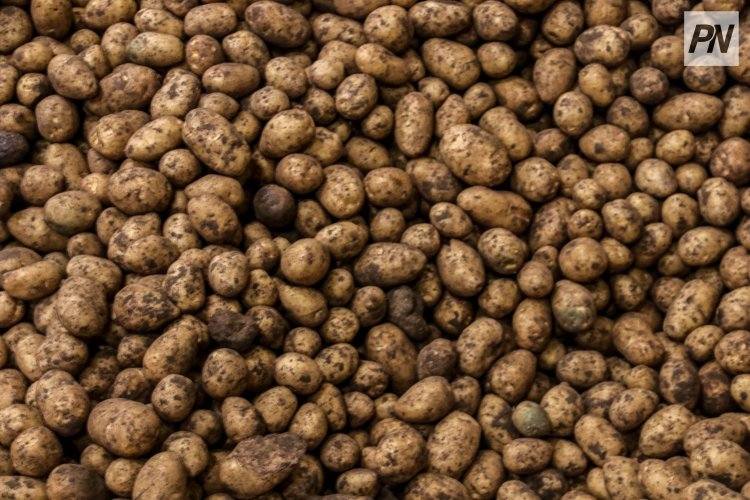 В Экибастузе показали пример успешной инвестиционной поддержки