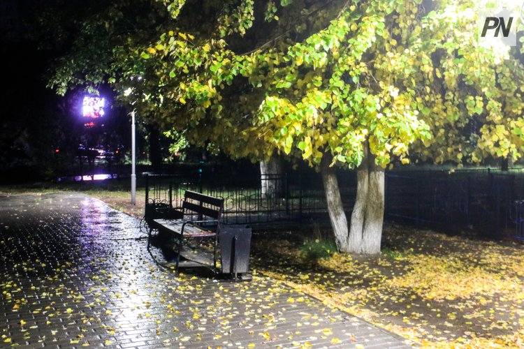 Туман и гололёд: погода в Павлодарской области 3 октября