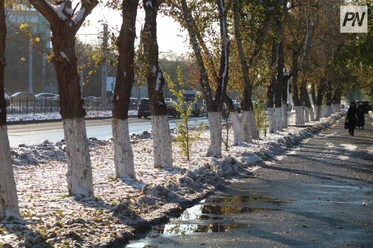 Облачно будет в Павлодарской области 16 октября