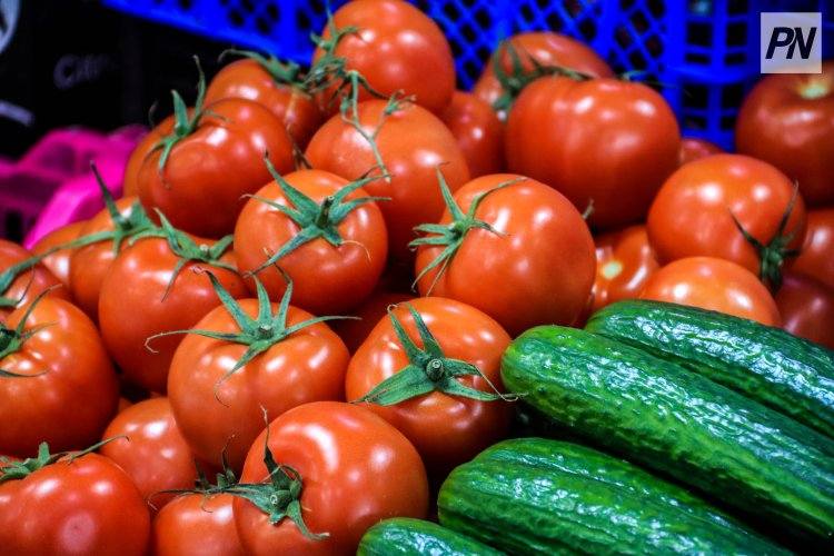 Павлодарские аграрии представляют свою продукцию жителям столицы