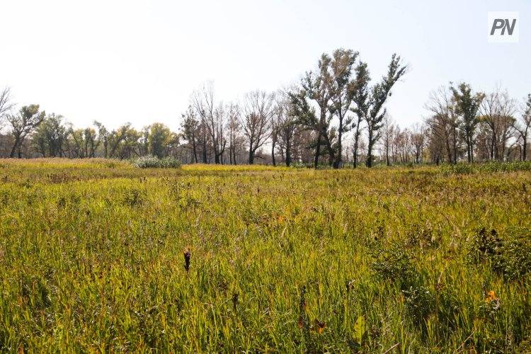 В Аккулы жителям вернули земли стоимостью более двух миллиардов