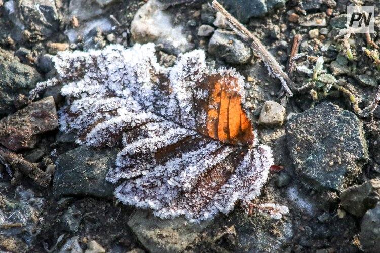 Облачно будет в Павлодарской области 29 октября