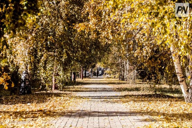 30 октября в Павлодарской области будет тепло