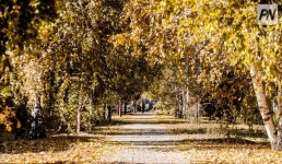 30 октября в Павлодарской области будет тепло