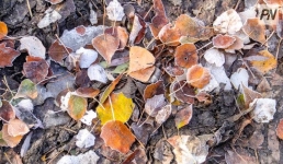 3 ноября в Павлодарской области прогнозируют снег с дождём