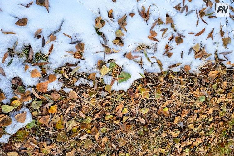 Ноябрь в Павлодарской области начнется с дождей и метелей