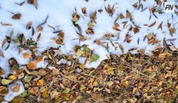 Ноябрь в Павлодарской области начнется с дождей и метелей