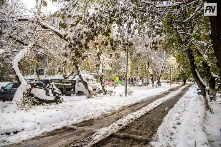 5 ноября в Павлодарской области ожидают снег и низовую метель