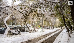 5 ноября в Павлодарской области ожидают снег и низовую метель