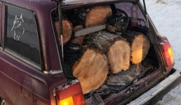 Полицейские Аксу задержали водителя с багажником дров