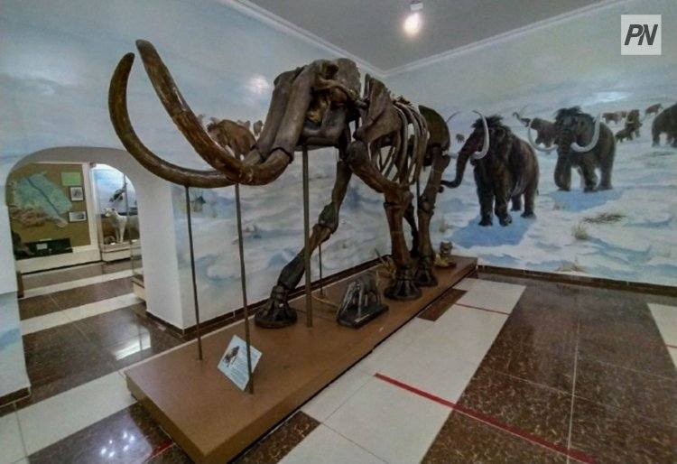 В Павлодаре пройдёт международная конференция к 100-летию Гусиного перелёта