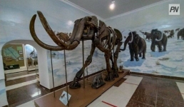 В Павлодаре пройдёт международная конференция к 100-летию Гусиного перелёта