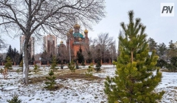 Общественники проверили качество озеленения Павлодарской области