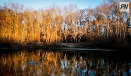 20 ноября в Павлодарской области ожидают дождь