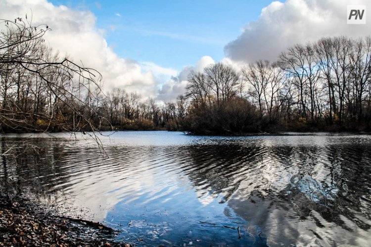 В Павлодаре ищут пропавшую женщину