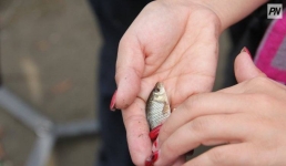 В Павлодарской области предложили увеличить объемы зарыбления водоемов