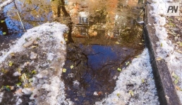 Низовая метель и гололед возможны 22 ноября в Павлодарской области