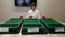 Павлодарская школьница предложила экономичный способ высадки деревьев