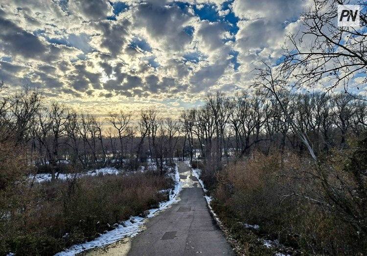 Небольшой снег и низовую метель ожидают 29 ноября в Павлодарской области