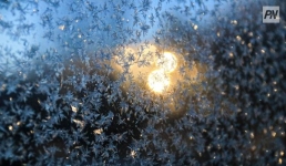 Зима в Павлодарской области началась с плюсовой температуры