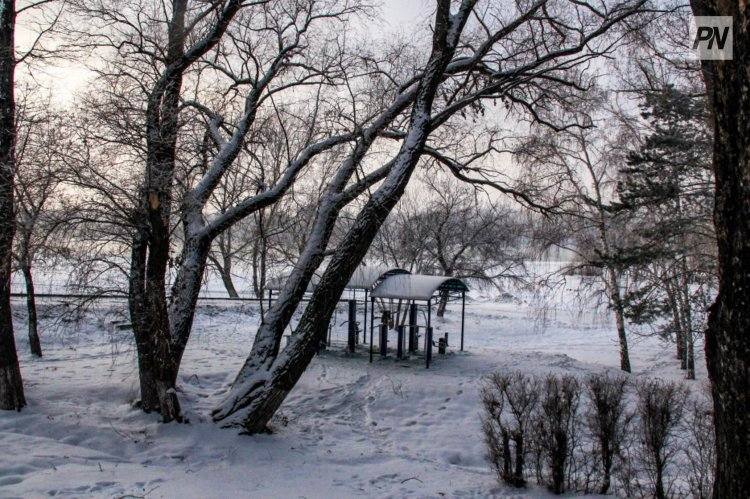 Туман и гололед прогнозируют 6 декабря в Павлодарской области