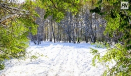 Как глобальное потепление ощущается в Павлодарской области