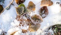 Метель и похолодание: погода в Павлодарской области 9 декабря