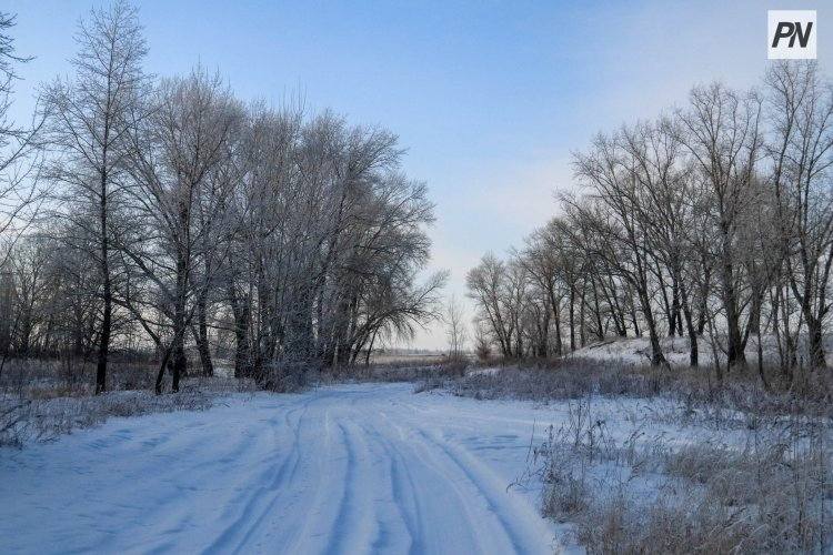 До -28°C ожидают в Павлодарской области 10 декабря