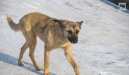 Подрядчику в Павлодарской области пригрозили жёсткими санкциями