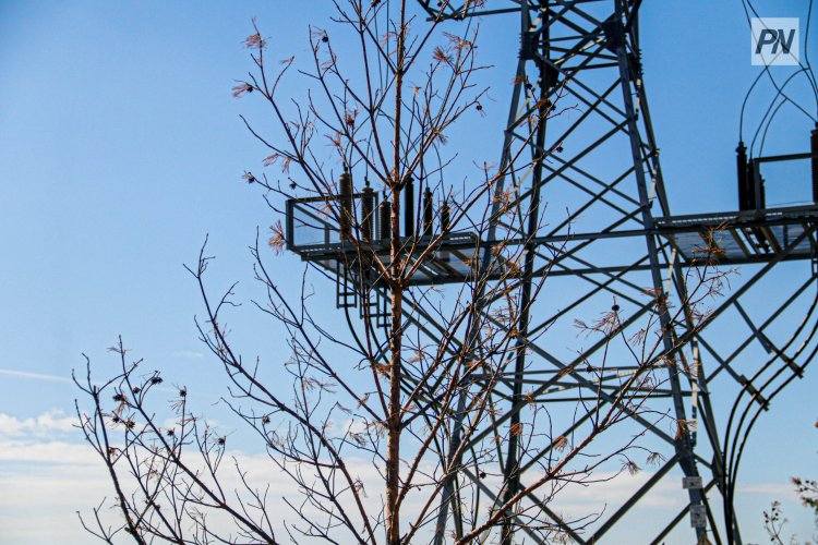 Что необходимо для реконструкции электросетей в Баянаульском районе