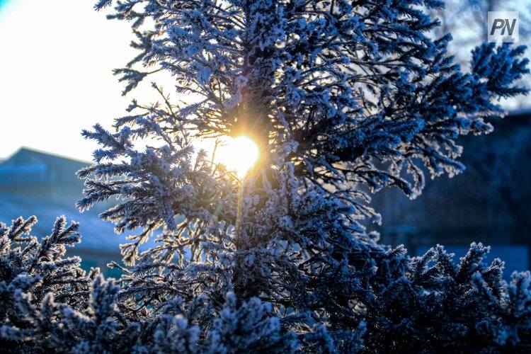 Снег и метель: погода в Павлодарской области 13 декабря