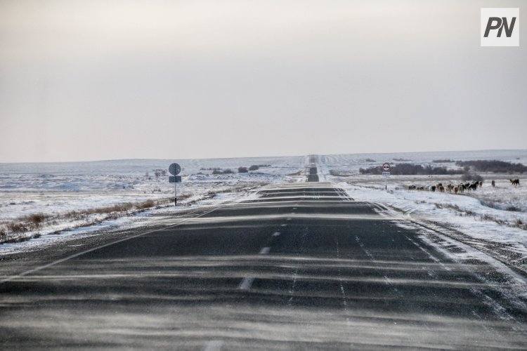 На павлодарских трассах временно ограничат движение
