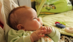 В День Независимости в Павлодарской области родились 15 младенцев