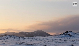 Актогайская прокуратура вернула государству миллионные участки