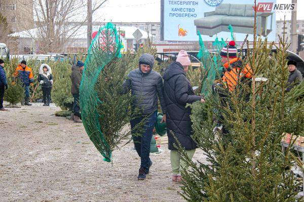 Когда открываются елочные базары 2023