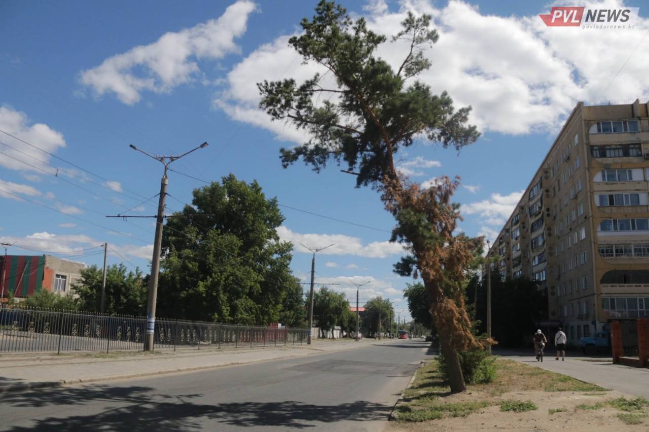 павлодар день. казахстан павлодар улицы. наурыз баурсаки. мечеть имени машхура жусупа. павлодар день.