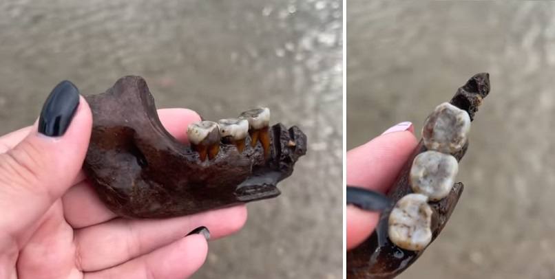 сделать находку